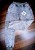 IMG_20251130_142146908_HDR_PORTRAIT~3.jpg
